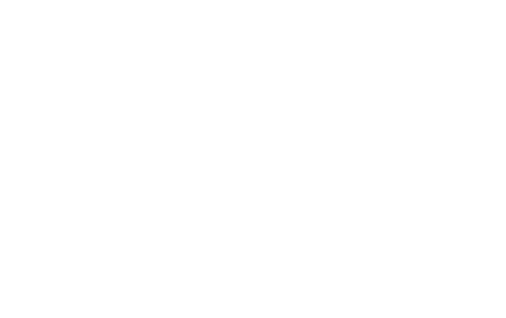 Todor — originalni umjetnikov potpis